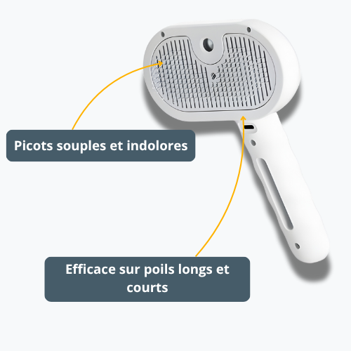 Brosse vapeur - FurMist
