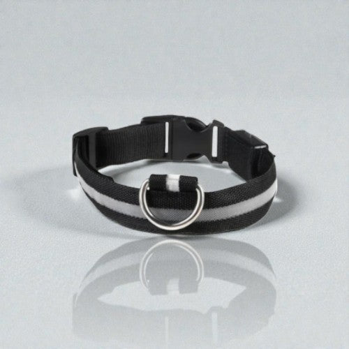 Collier Lumineux chien - Dog Safe