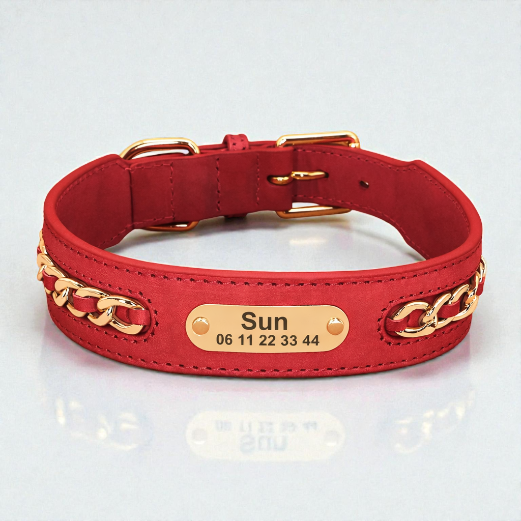 Collier cuir chien personnalisé - Prestige Dog