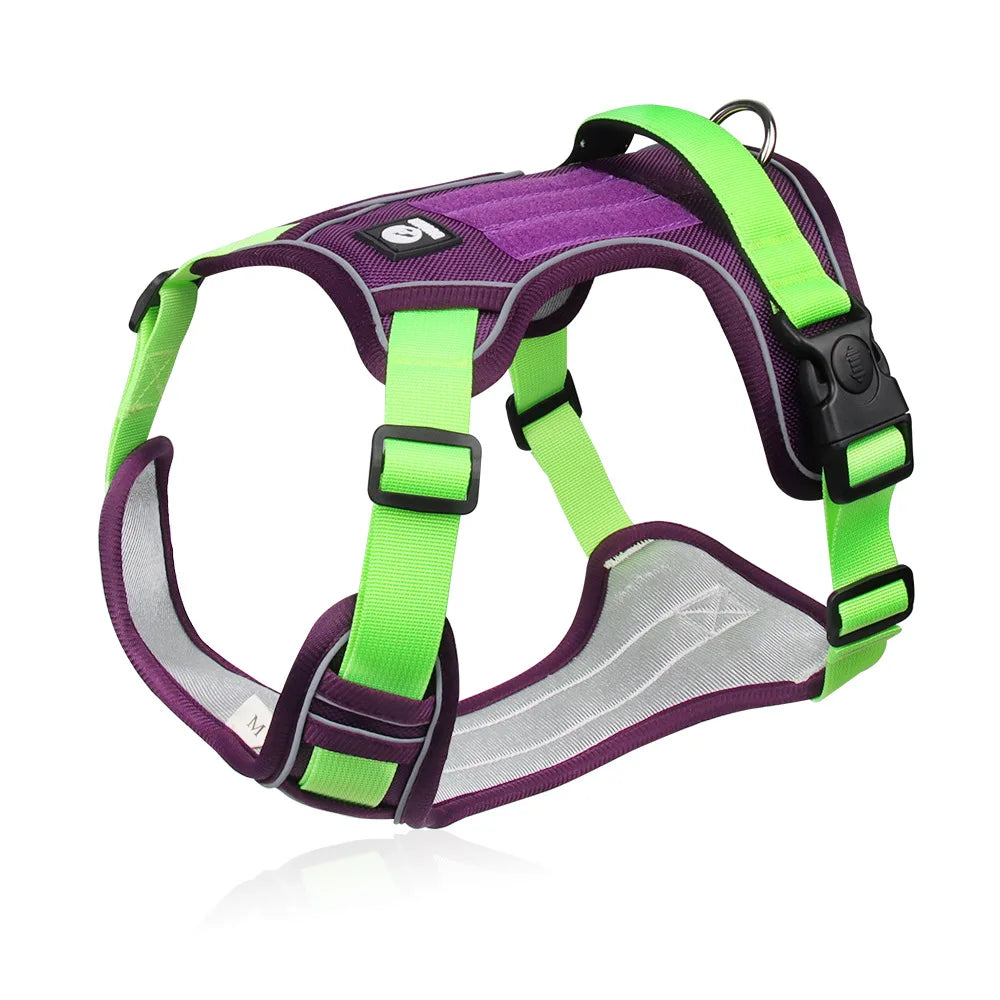 Harnais anti-traction - Violet