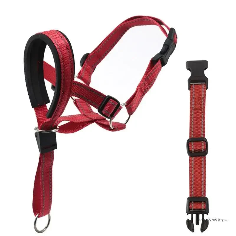 Licol pour chien - Rouge
