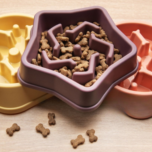 Gamelle pour chien