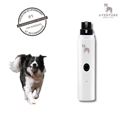 Lime à ongles électrique pour chiens - Aventure Canine™
