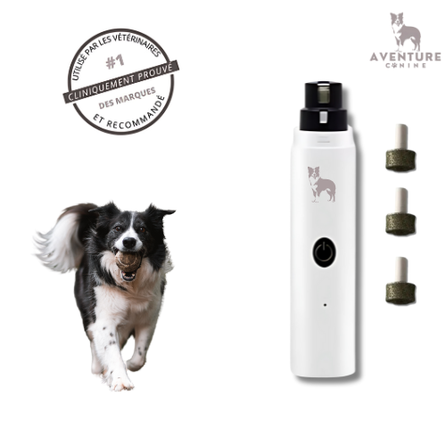 Lime à ongles électrique pour chiens - Aventure Canine™