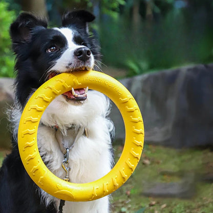 Jouet anneau pour chien