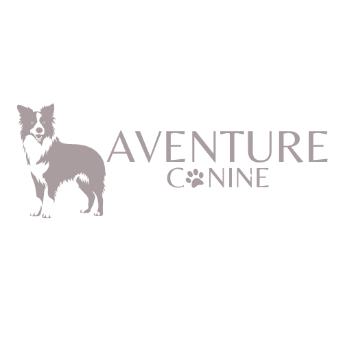 AventureCanine