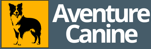 AventureCanine