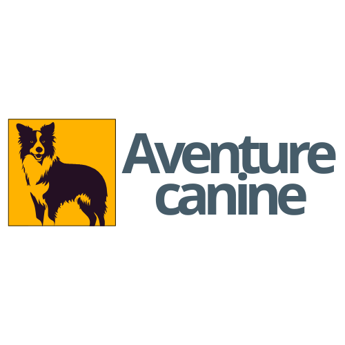 AventureCanine