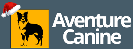 AventureCanine