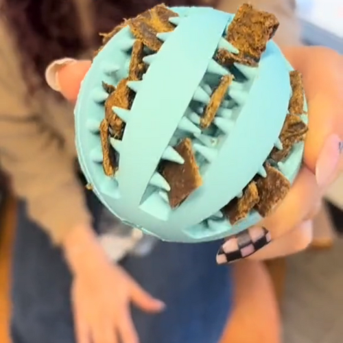 Balle à Friandises pour Chien