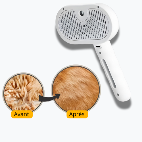 Brosse vapeur - FurMist