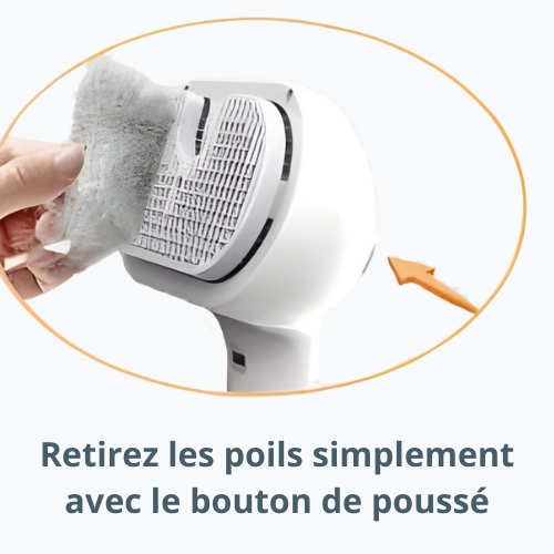 Brosse vapeur - FurMist