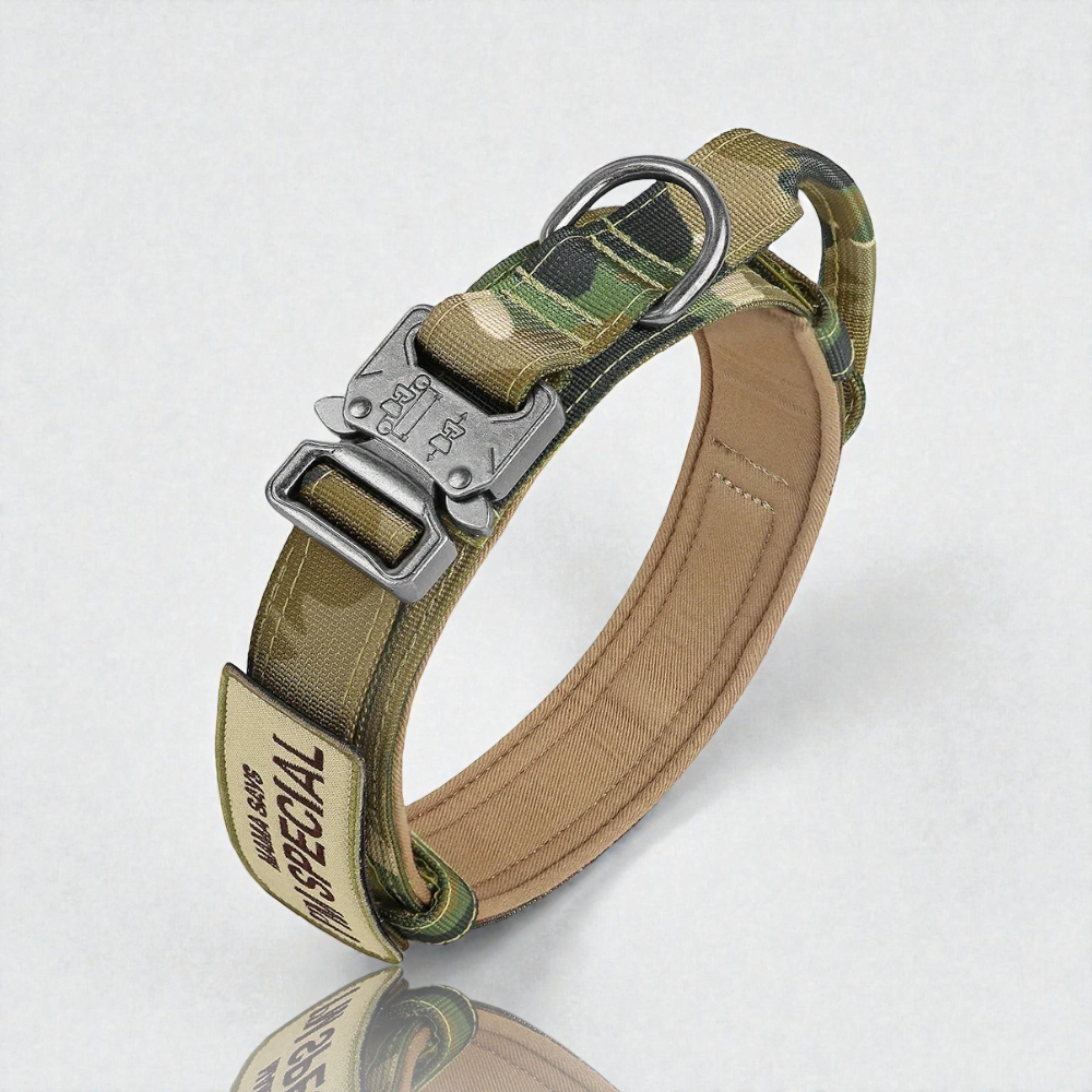 Collier pour chien - Special Dog