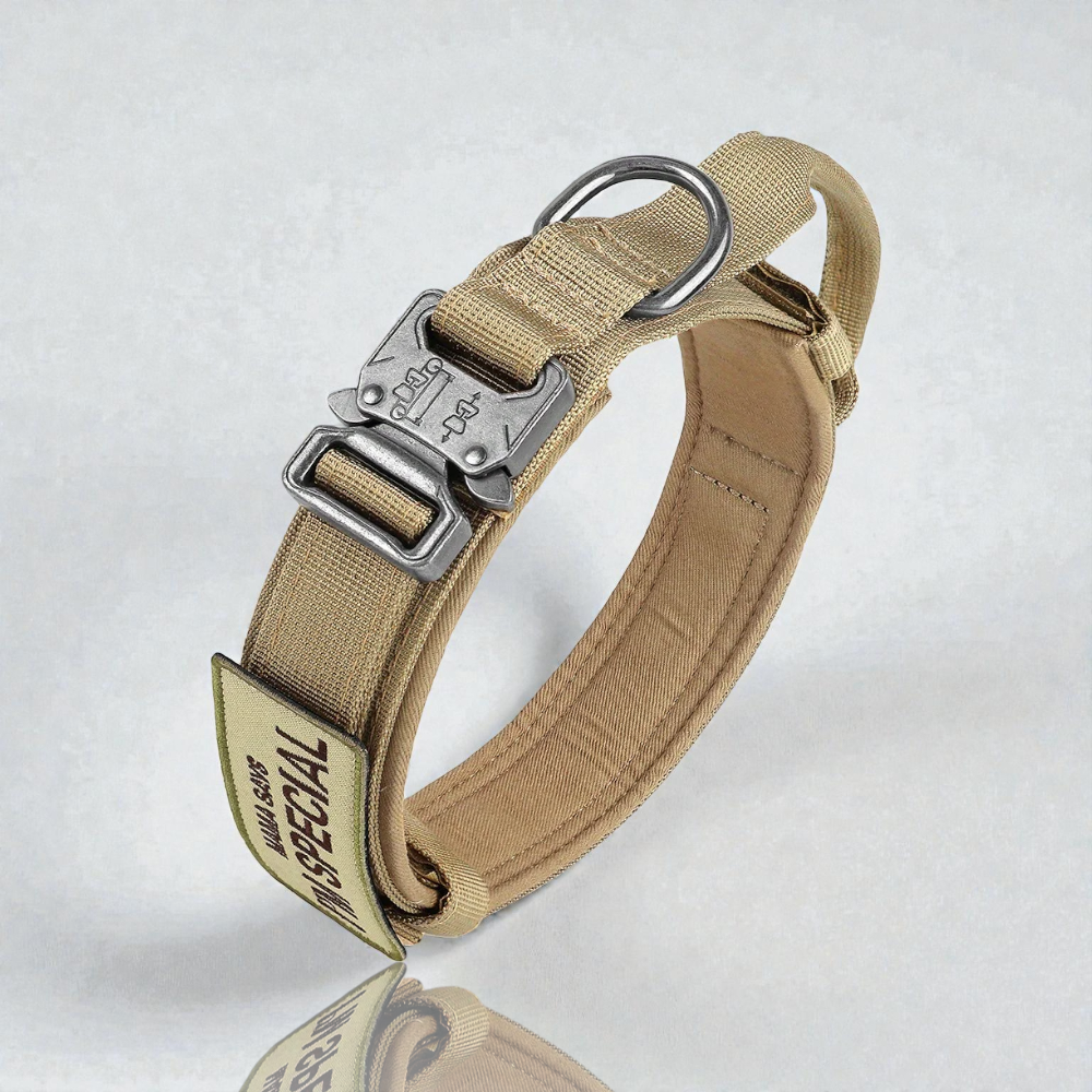 Collier pour chien - Special Dog