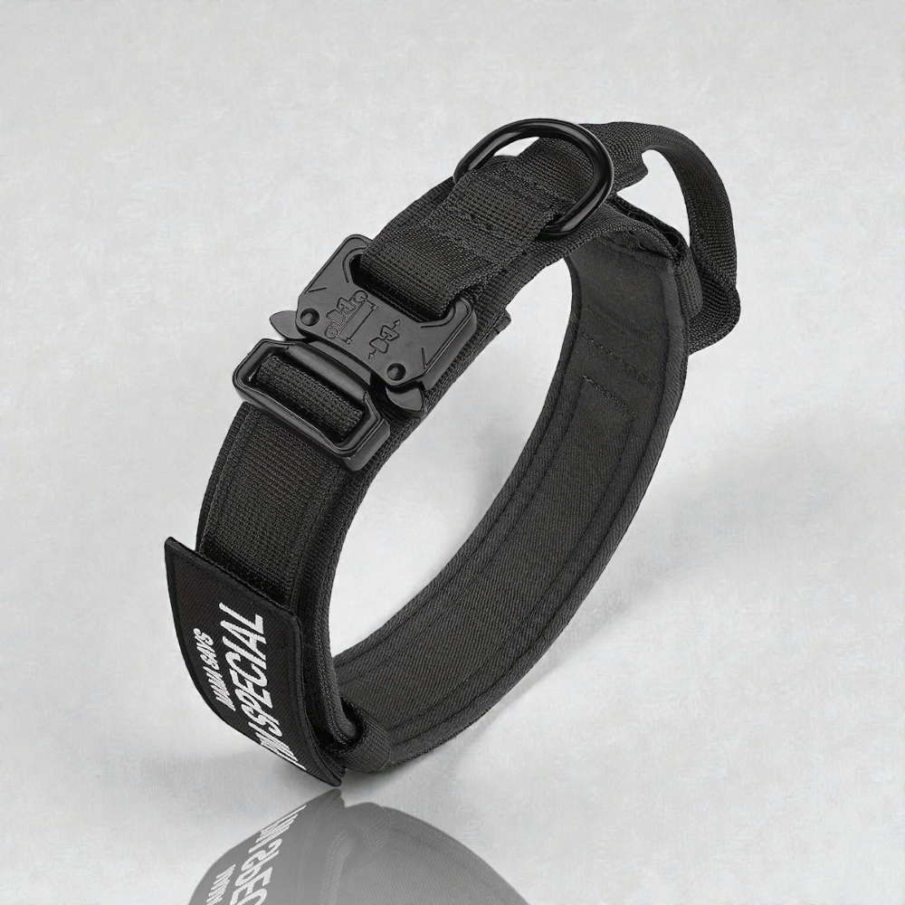 Collier pour chien - Special Dog