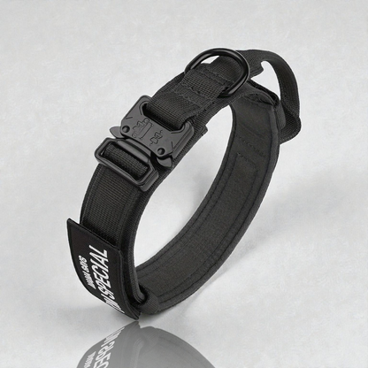 Collier pour chien - Special Dog