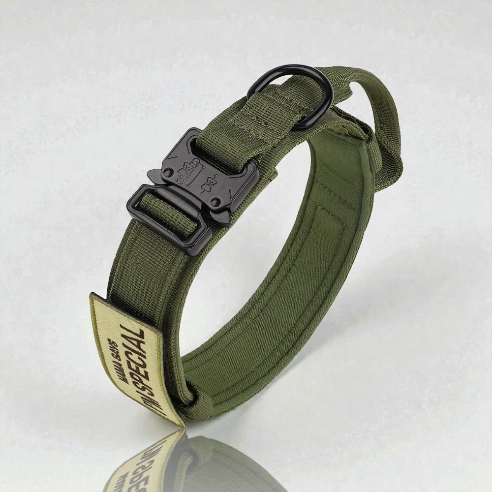 Collier pour chien - Special Dog