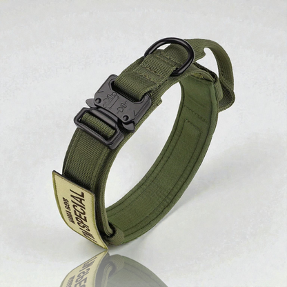 Collier pour chien - Special Dog