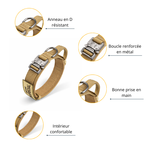 Collier pour chien - Special Dog