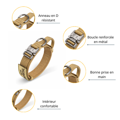 Collier pour chien - Special Dog