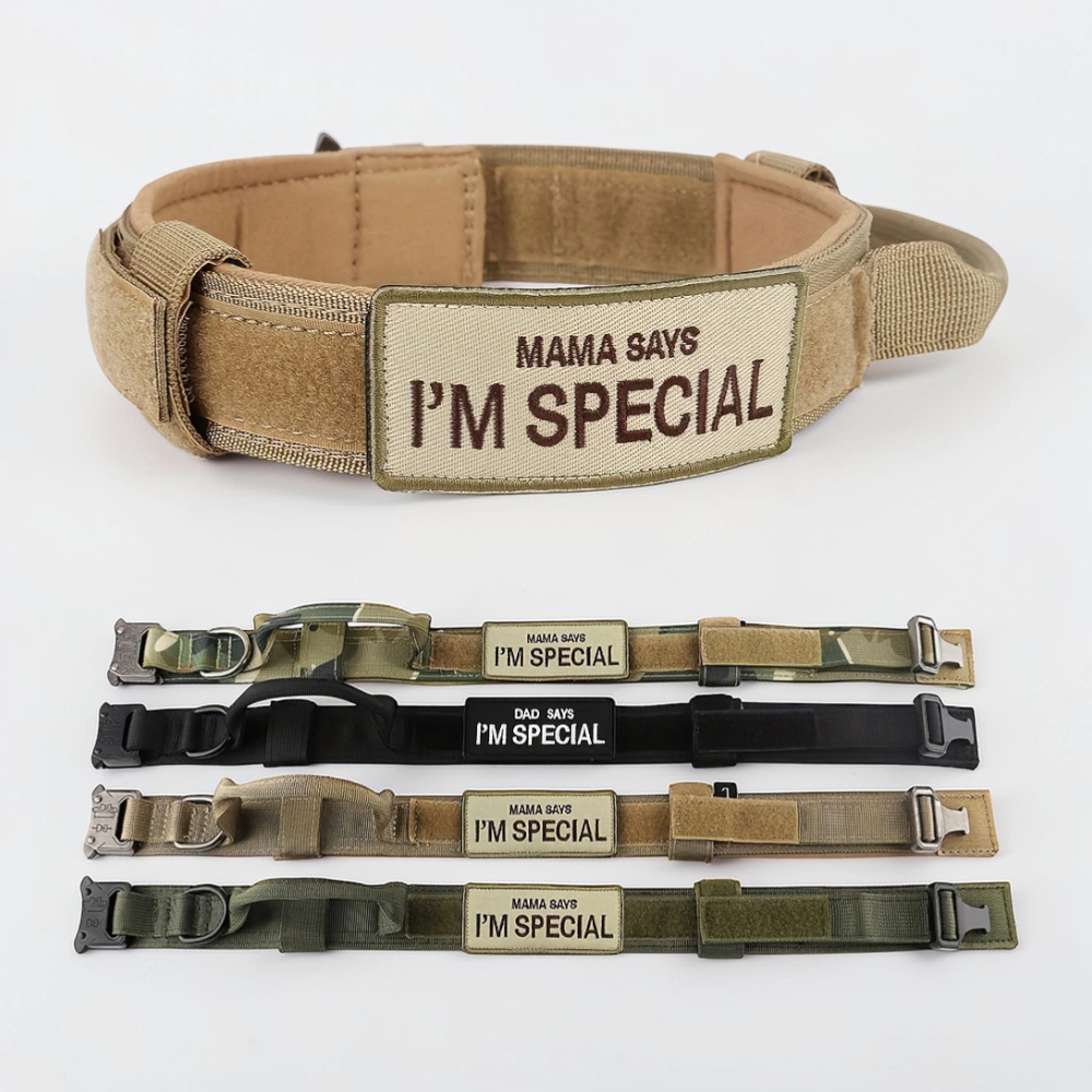Collier pour chien - Special Dog