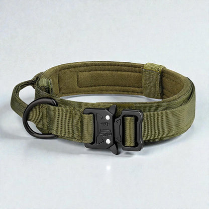Collier tactique pour chien - Tactical Dog