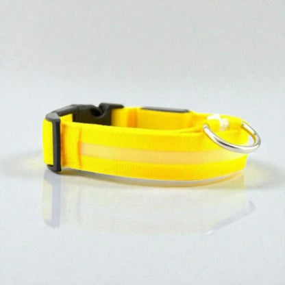 Collier Lumineux - Sécurité Nocturne