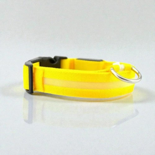 Collier Lumineux - Sécurité Nocturne