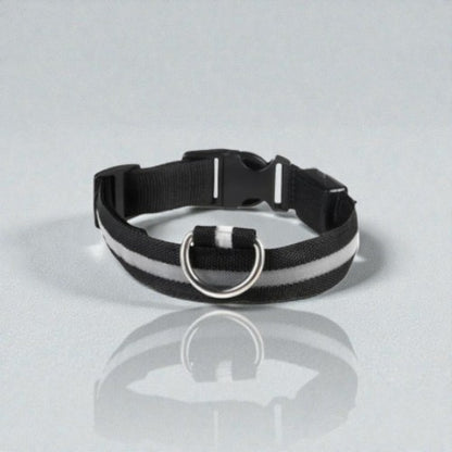 Collier Lumineux chien - Dog Safe