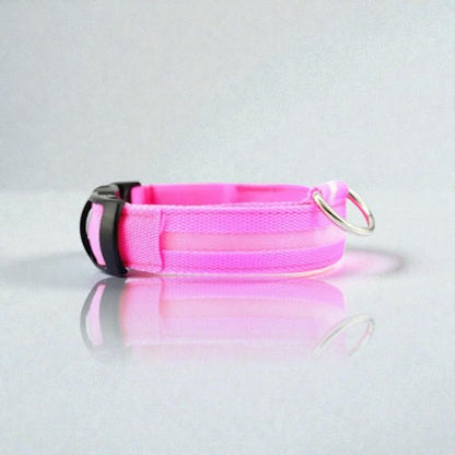Collier Lumineux - Sécurité Nocturne