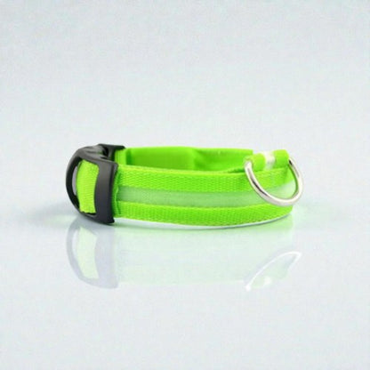 Collier Lumineux - Sécurité Nocturne