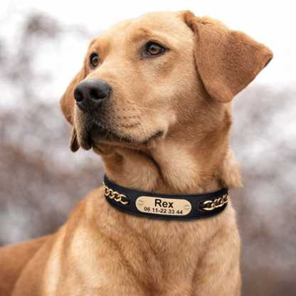Collier cuir chien personnalisé - Prestige Dog
