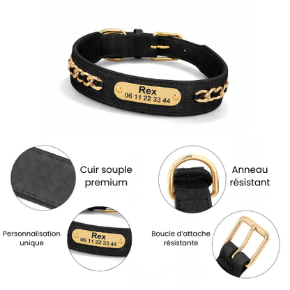 Collier cuir chien personnalisé - Prestige Dog
