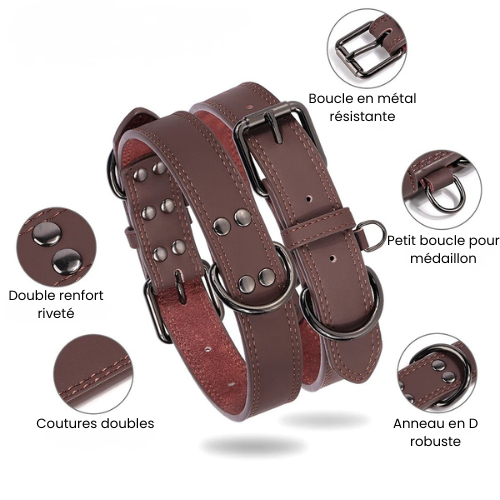 Collier en cuir pour chien - Classic Dog