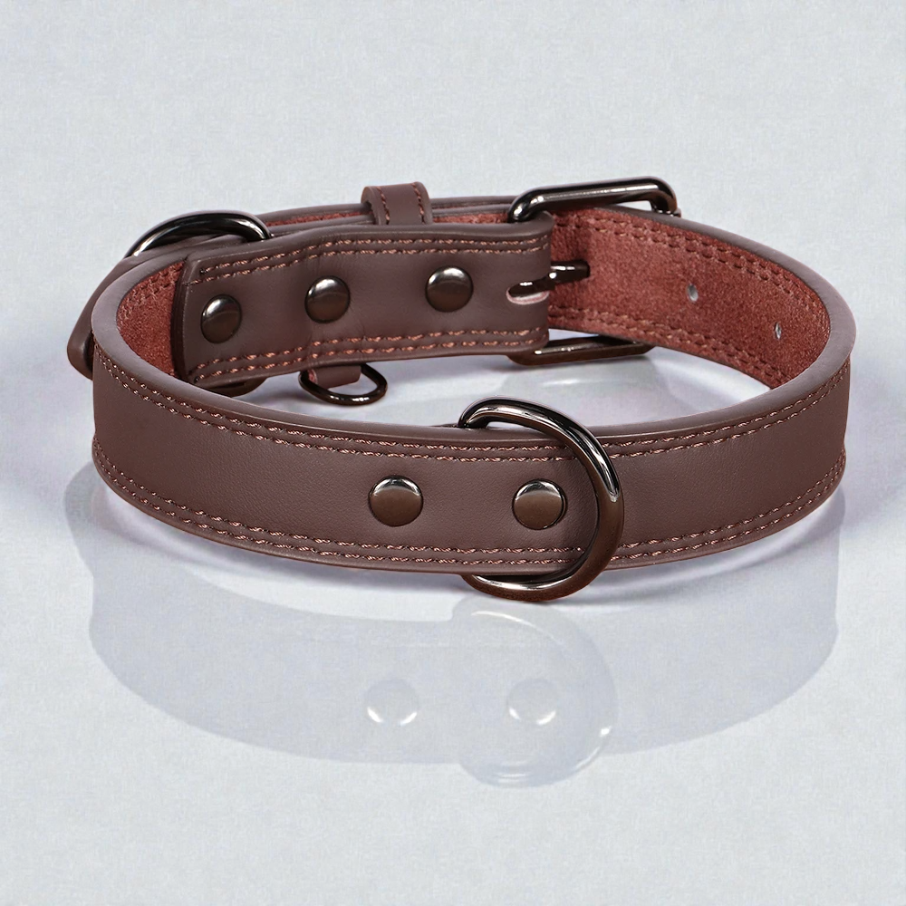 Collier en cuir pour chien - Classic Dog