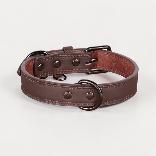 Collier en cuir pour chien - Classic Dog