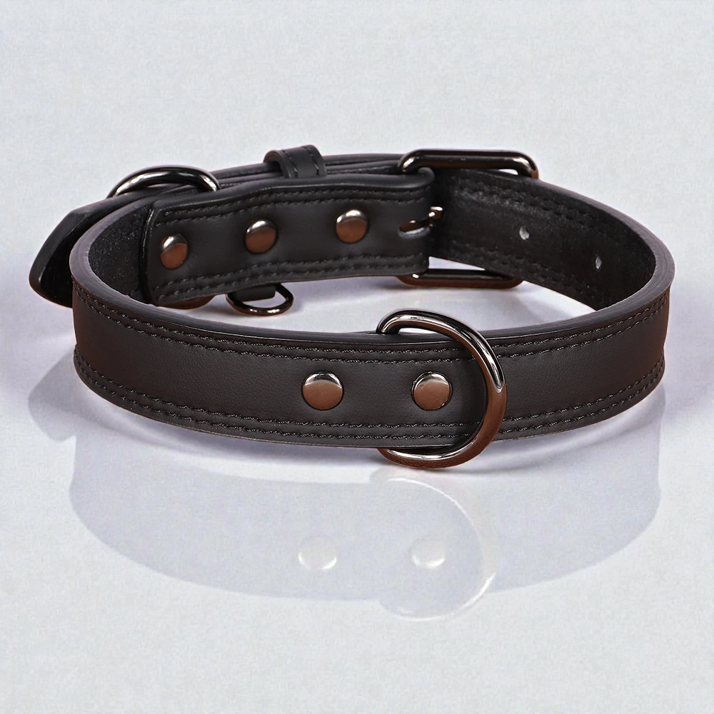 Collier en cuir pour chien - Classic Dog