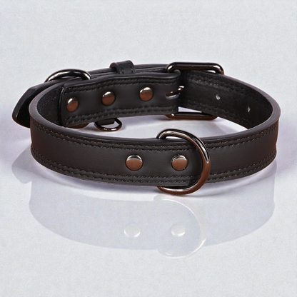 Collier en cuir pour chien - Classic Dog