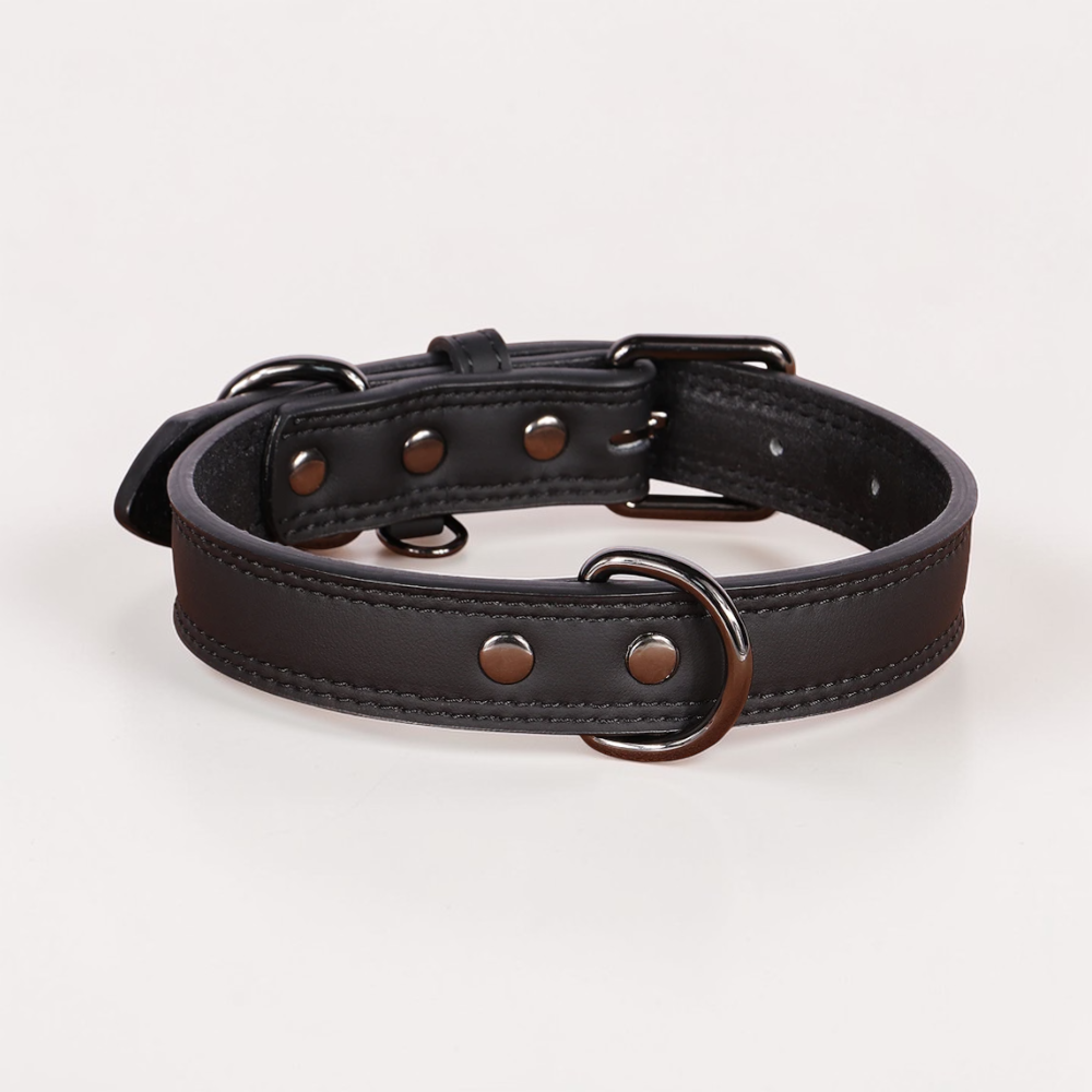 Collier en cuir pour chien - Classic Dog