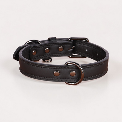 Collier en cuir pour chien - Classic Dog