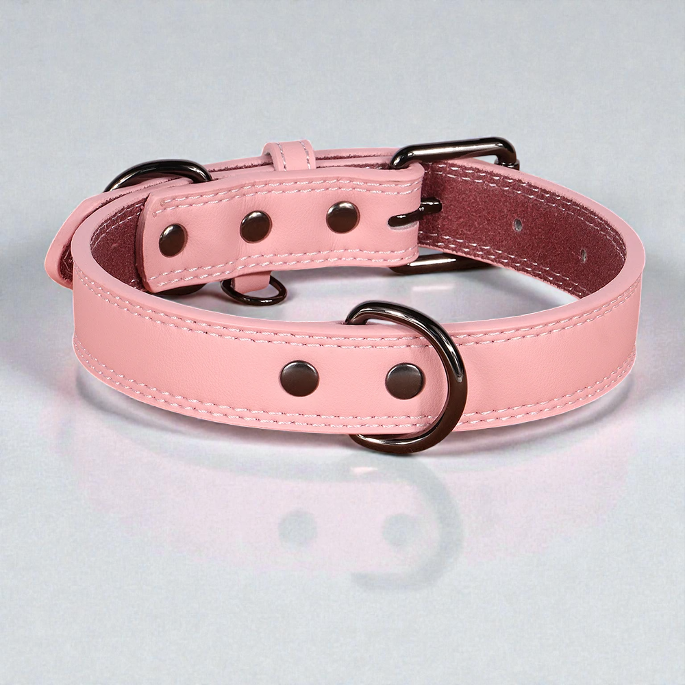 Collier en cuir pour chien - Classic Dog