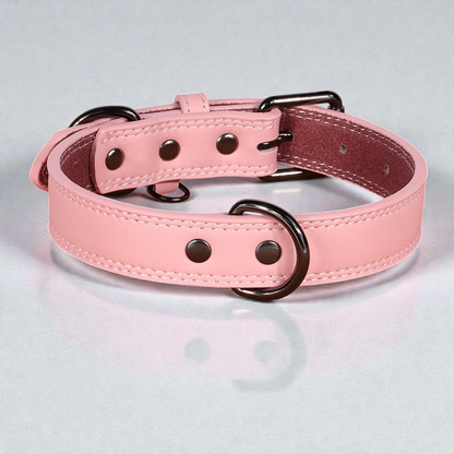 Collier en cuir pour chien - Classic Dog