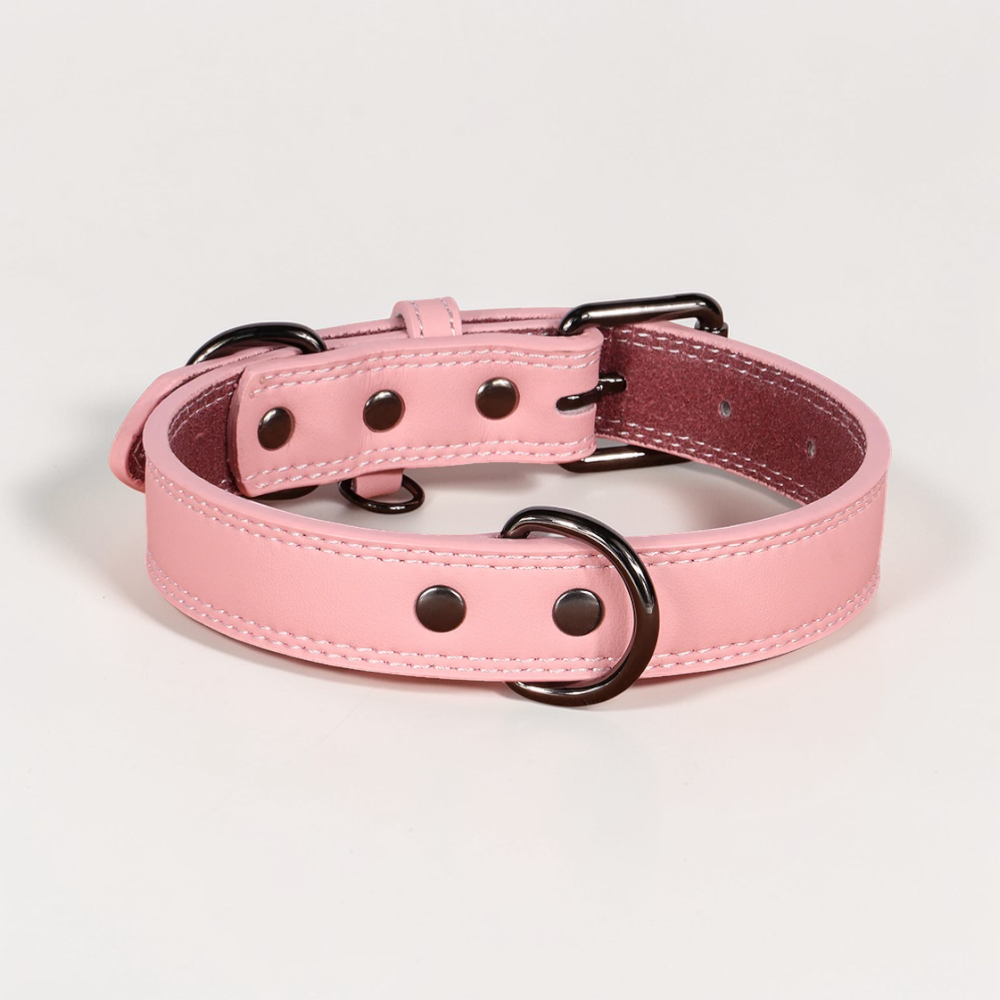 Collier en cuir pour chien - Classic Dog