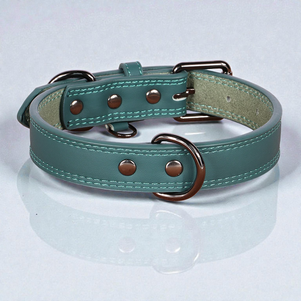 Collier en cuir pour chien - Classic Dog