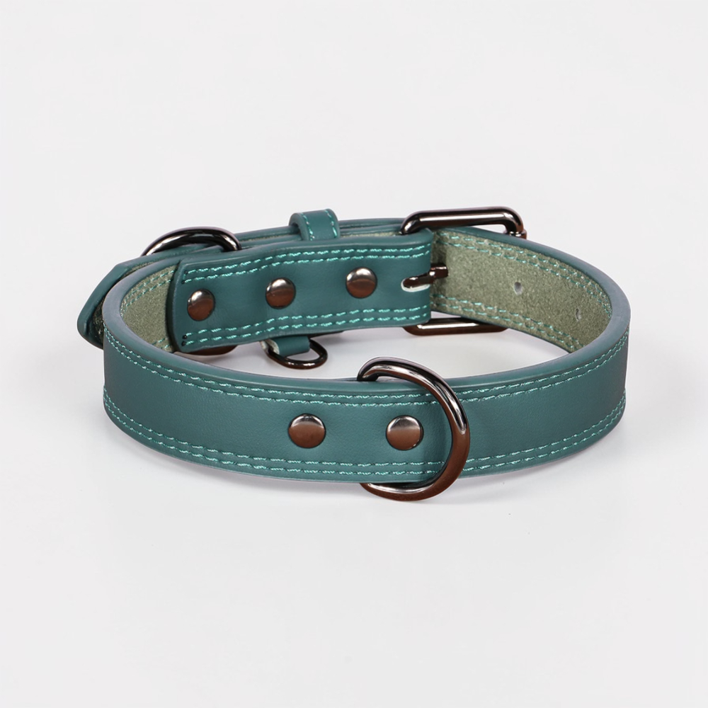 Collier en cuir pour chien - Classic Dog