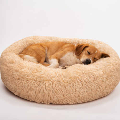Coussin apaisant pour chien - Cocon Canin