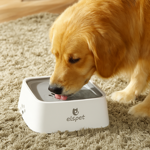 Gamelle anti éclaboussure - Zero Splash