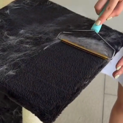 Grattoir Anti Poils – Multi-Surfaces