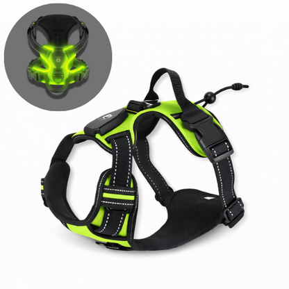 Harnais lumineux LED - Sécurité Nocturne