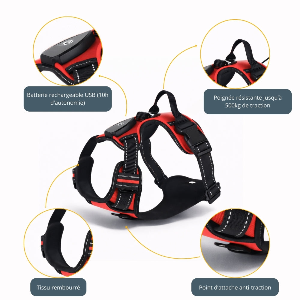 Harnais lumineux LED - Sécurité Nocturne